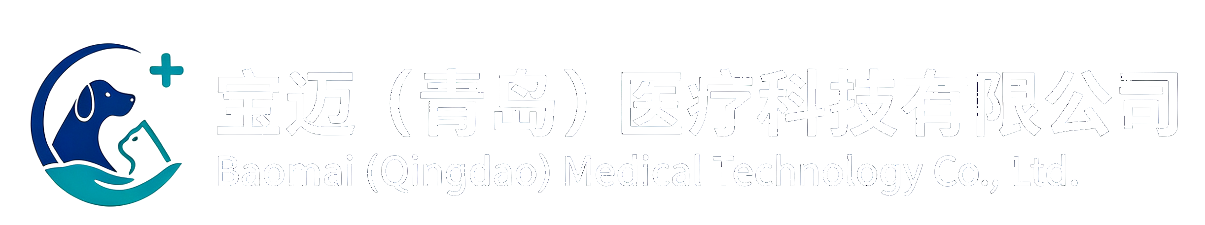 宝迈（青岛）医疗科技有限公司